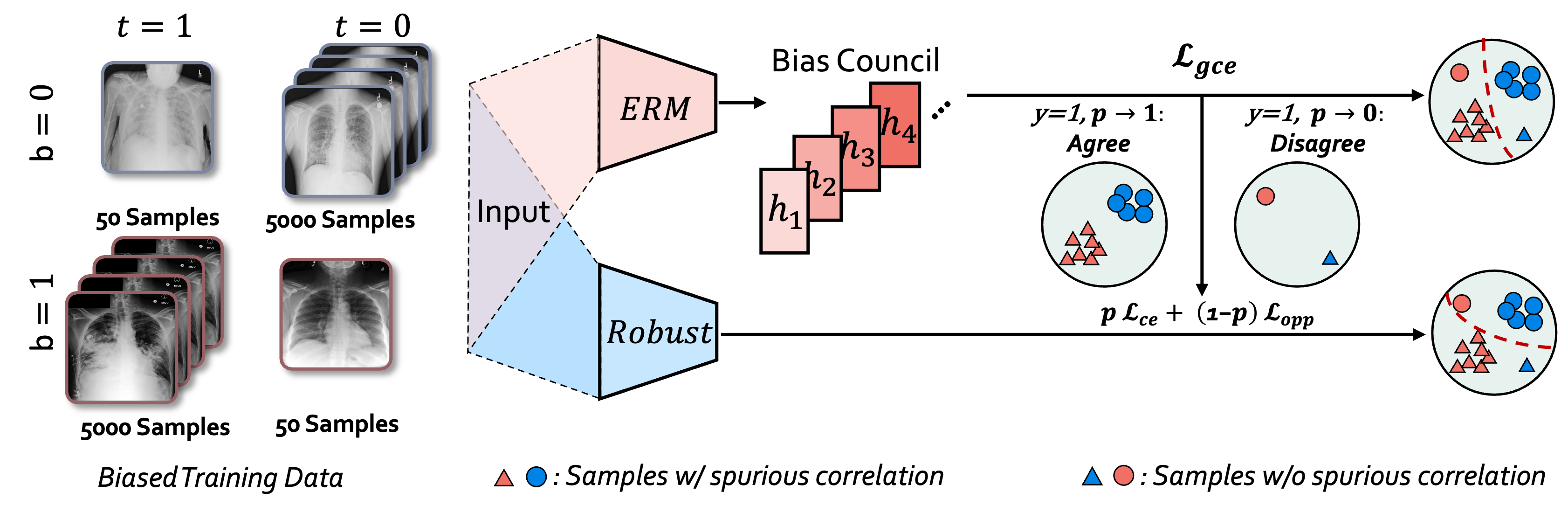 Medical Image Debiasing